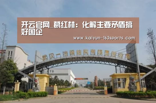 开云官网_葛红林:化解主要矛盾搞好国企(图1) 开云官方平台