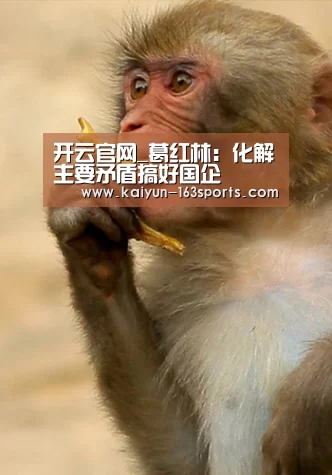 开云官网_葛红林:化解主要矛盾搞好国企(图2) 开云官方平台