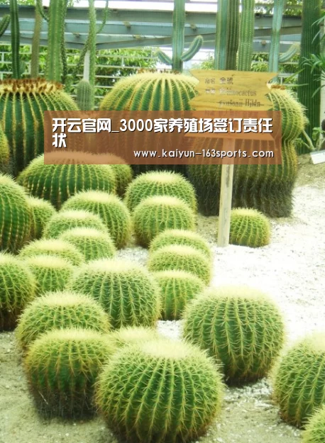 开云官网_3000家养殖场签订责任状(图1) 开云官方平台